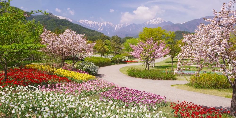 Parco Giardino Sigurtà: un giardino fiorito vicino Verona