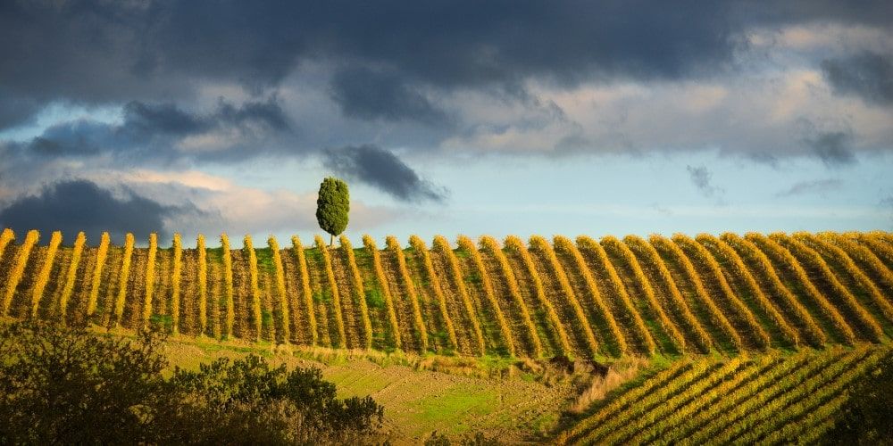 31-regione-chianti-toscana 31-regione-chianti-toscana